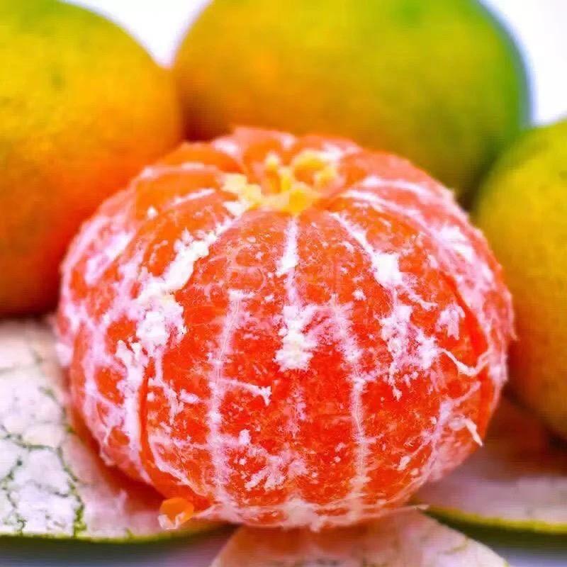 石门玲玲鲜果铺子