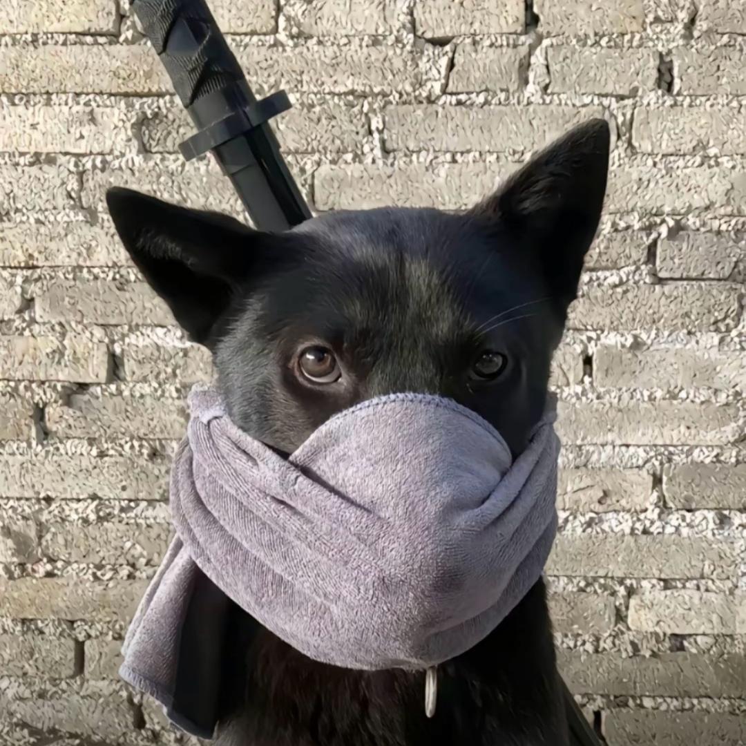 再见康师傅