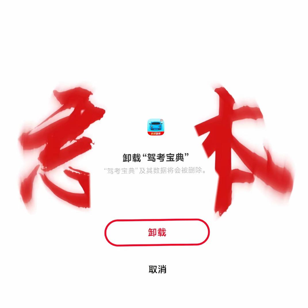 重生之火速考驾照