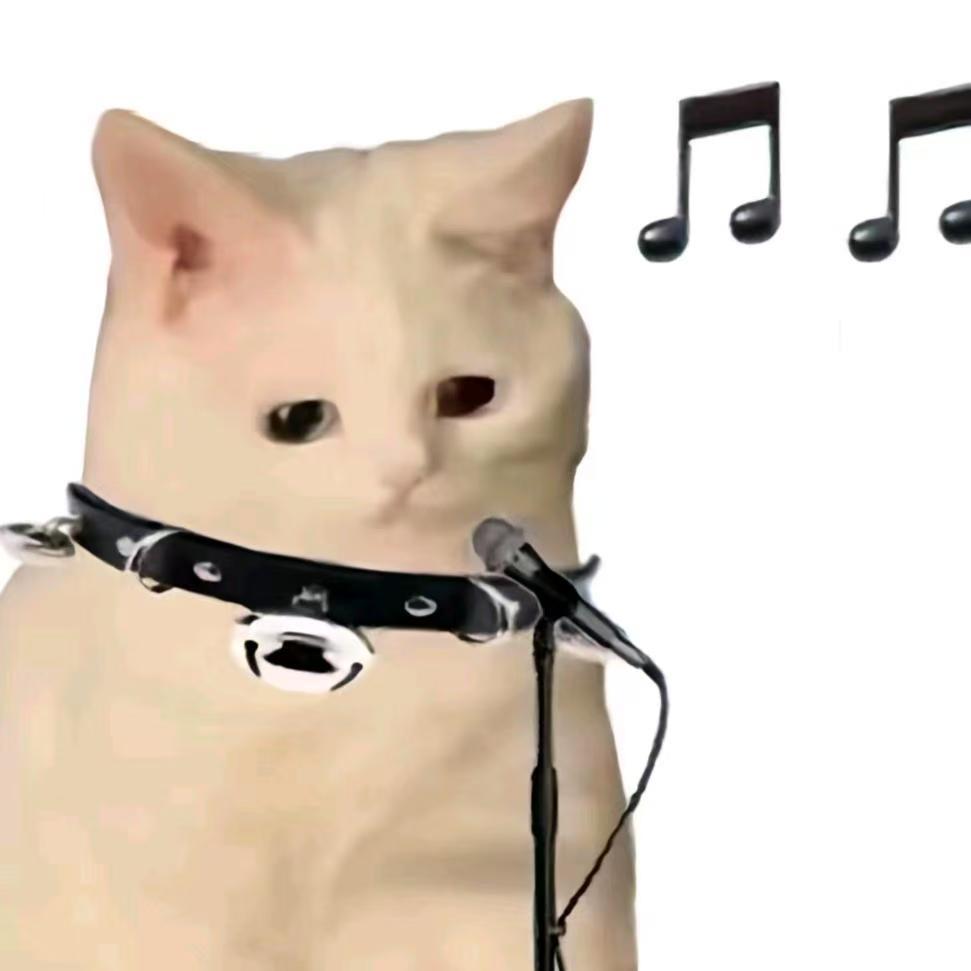 自动挡眉毛‼️