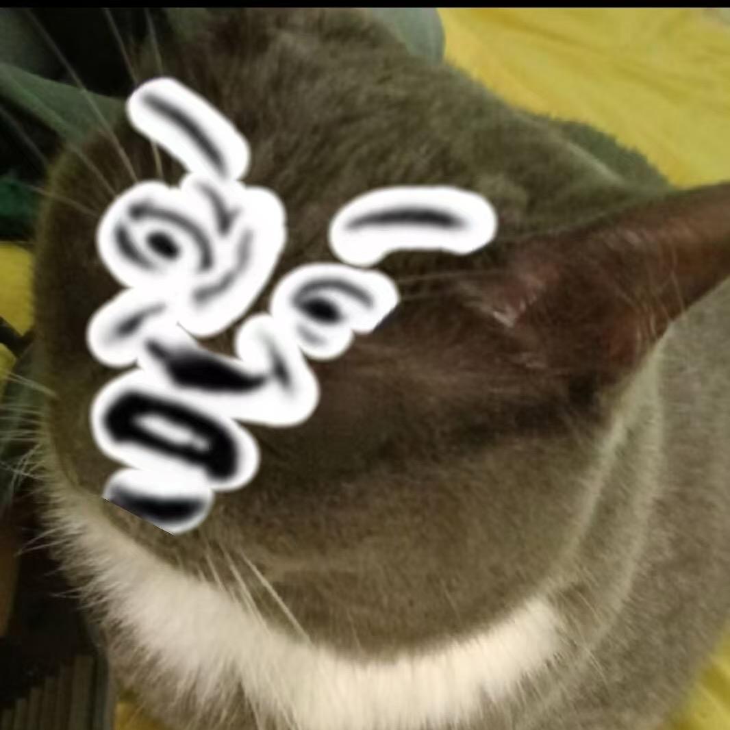 从头来过