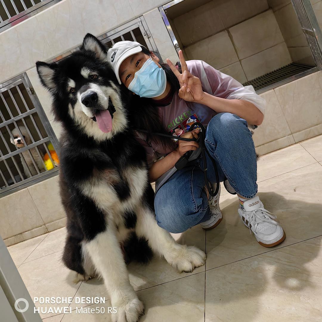 吉克是剪毛的✂️