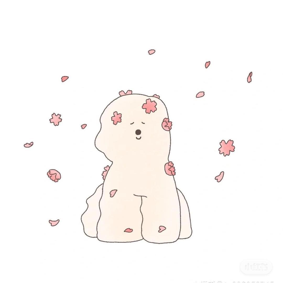 包你发财🤑