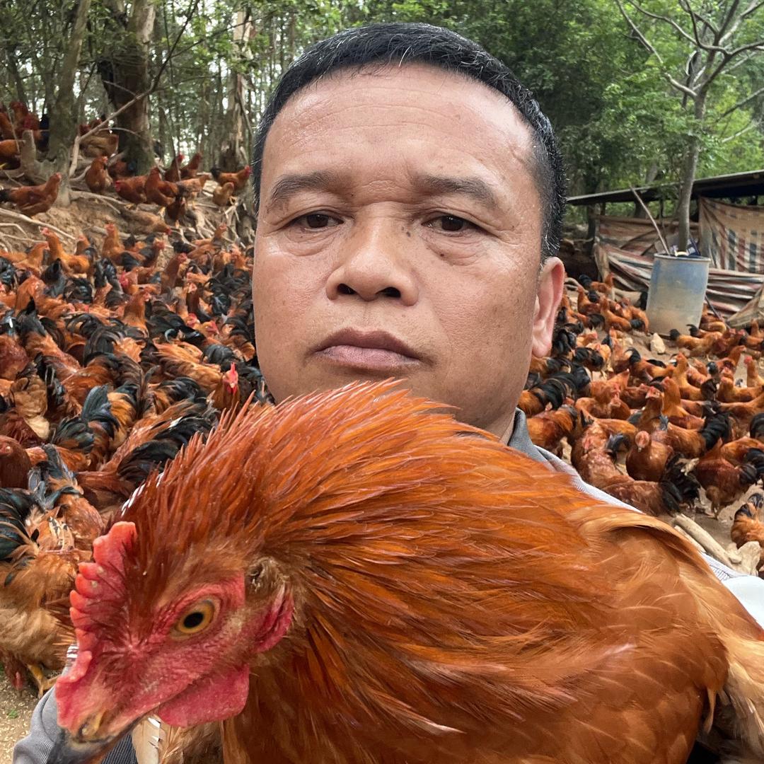 阉鸡李老四