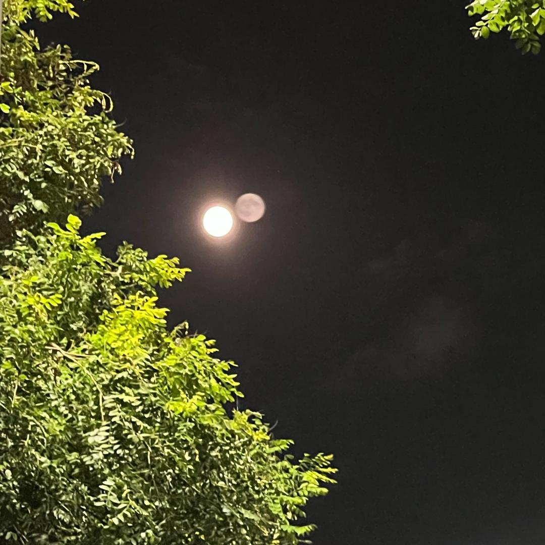 涛籌䪔鷢