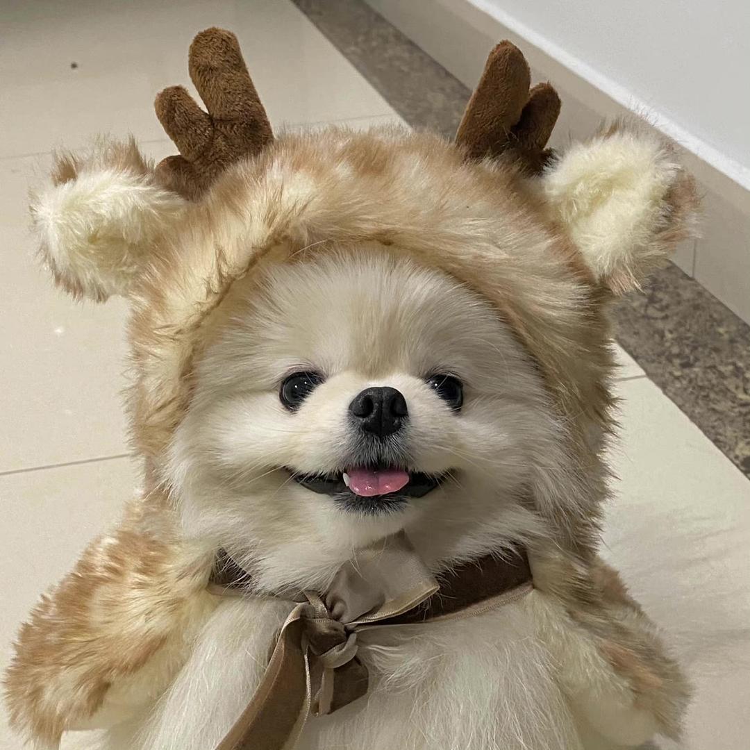 ….。