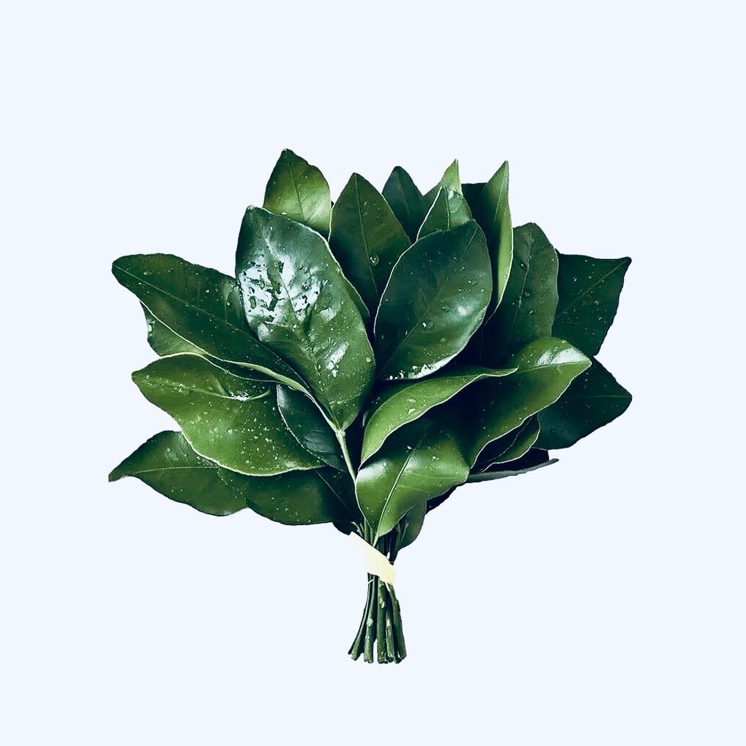 🇨🇳吨吨饲养员🍽️