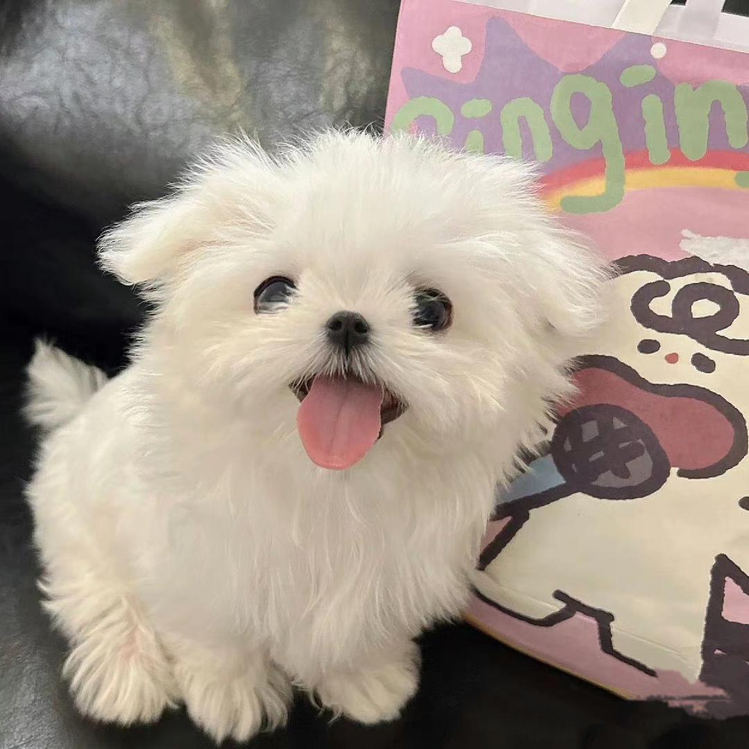 阿YueYue穿戴甲