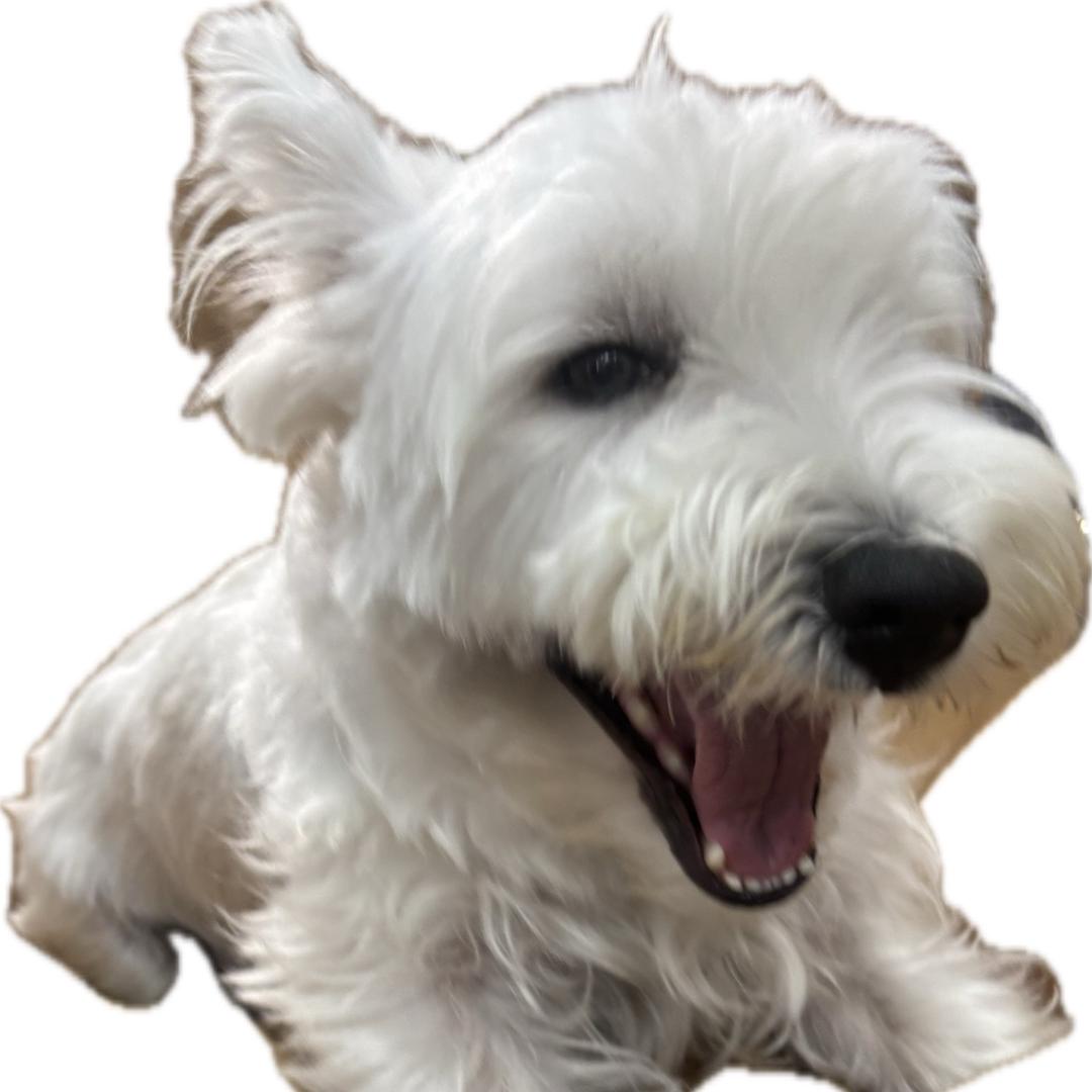 Der.