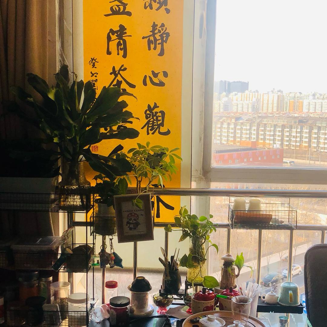 米粒🎨 𝓈ℊ