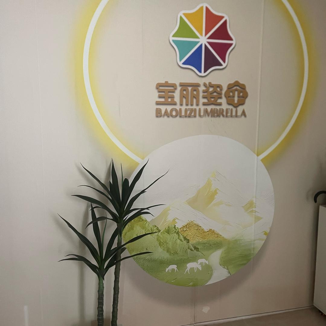 宝丽姿伞优选