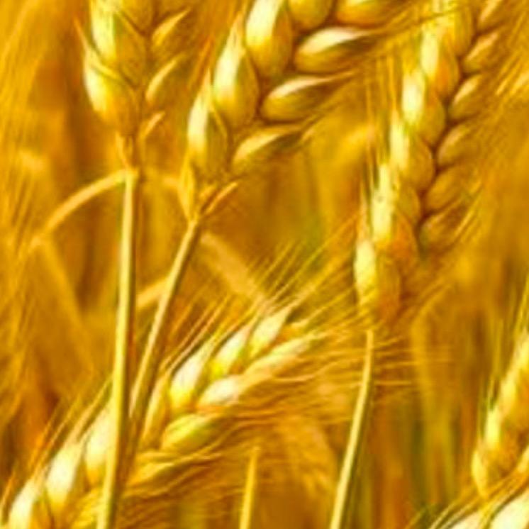 华健坚强👩🏻‍🌾💕