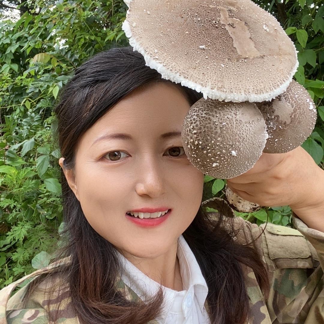 田间蜜语菌菇甄选