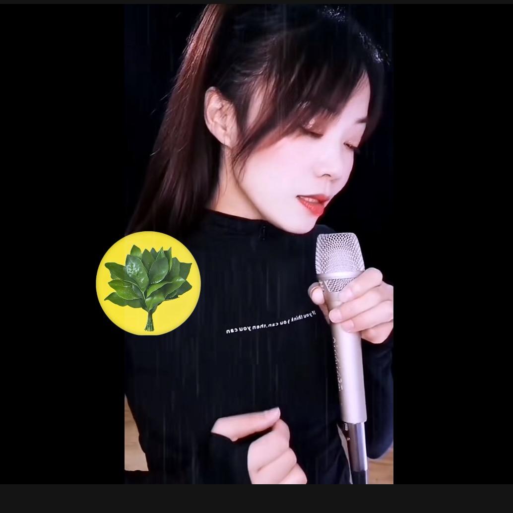 菲公子🎤🎵