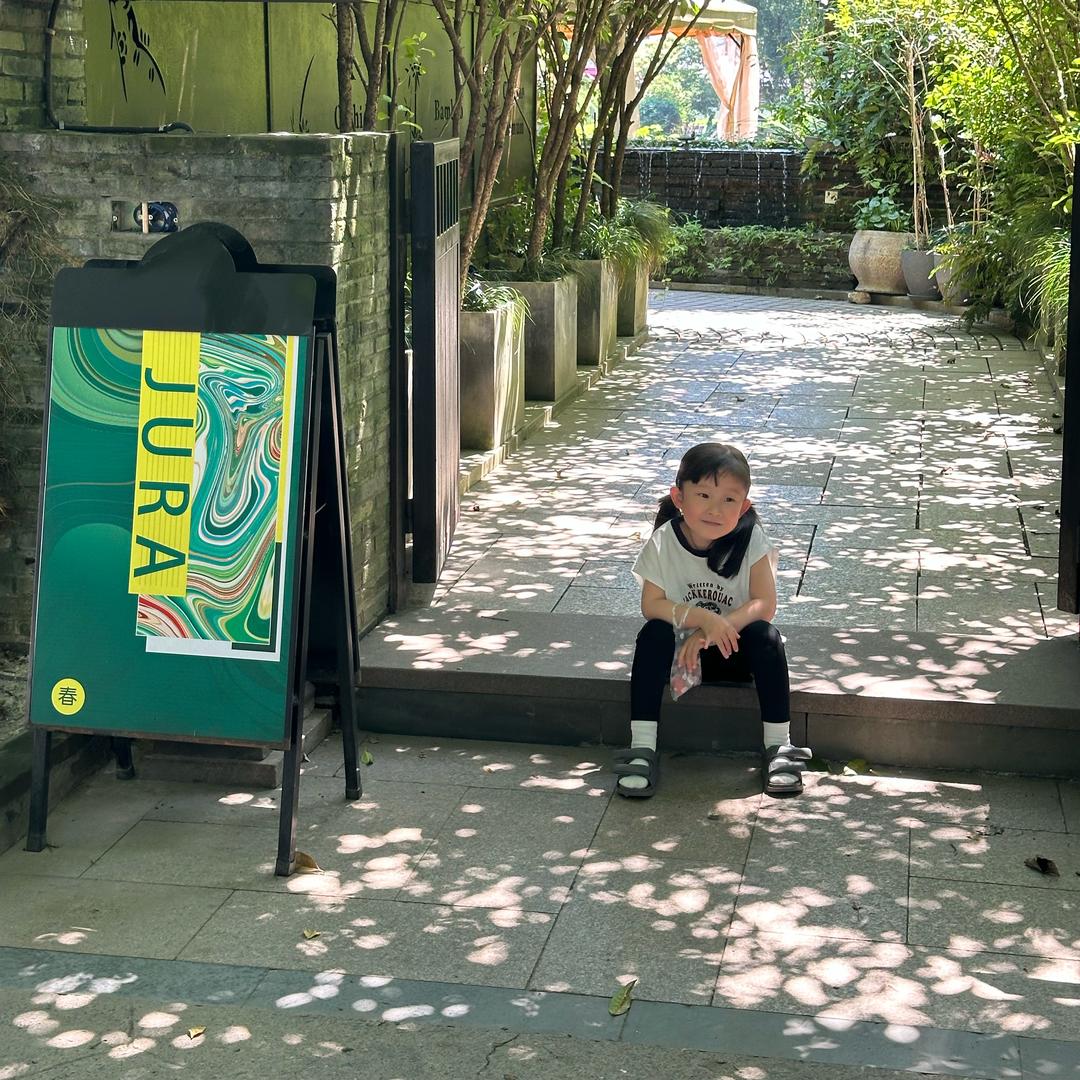 喜宝（马尔济斯）（面纱）