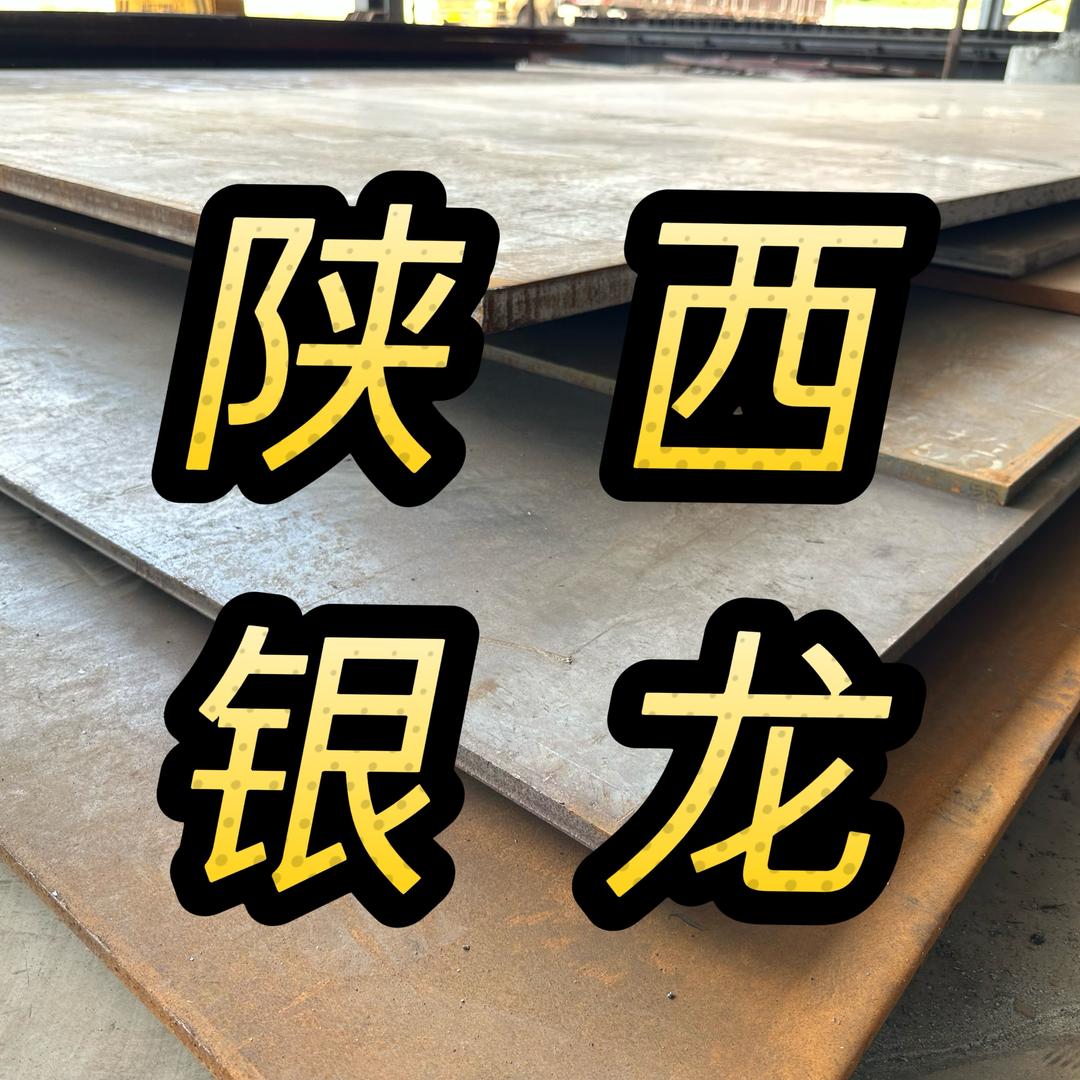 陕西银龙盛达科工贸有限公司