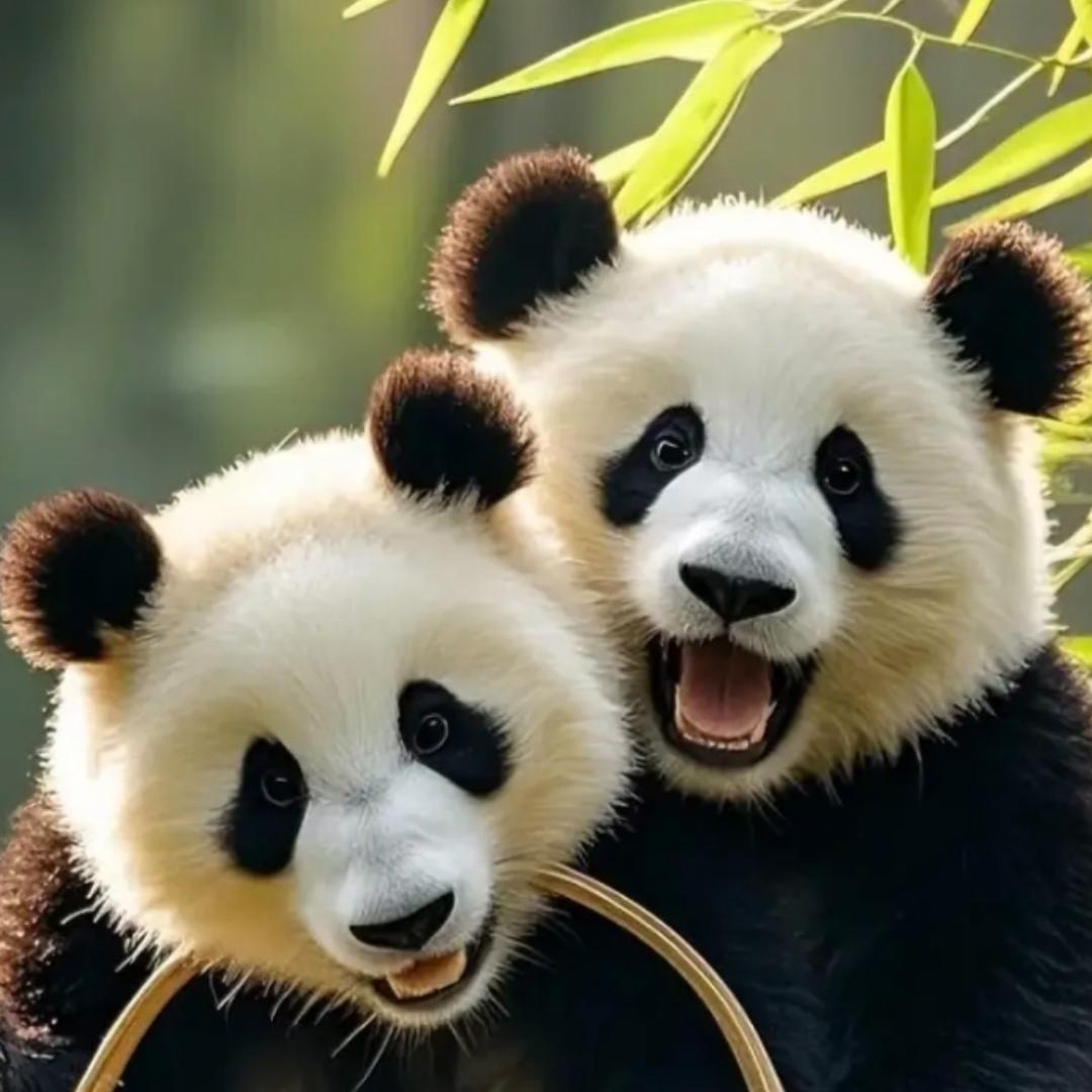 回不去的曾经