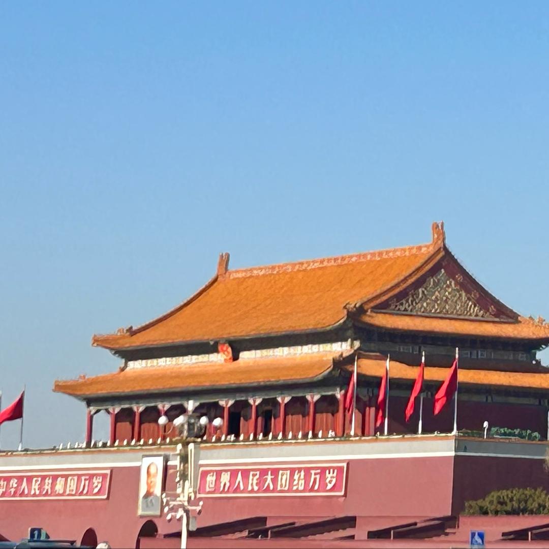 你想干甚