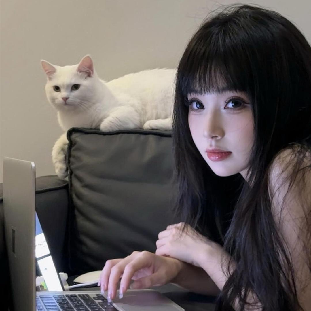 淼淼爱睡觉💤