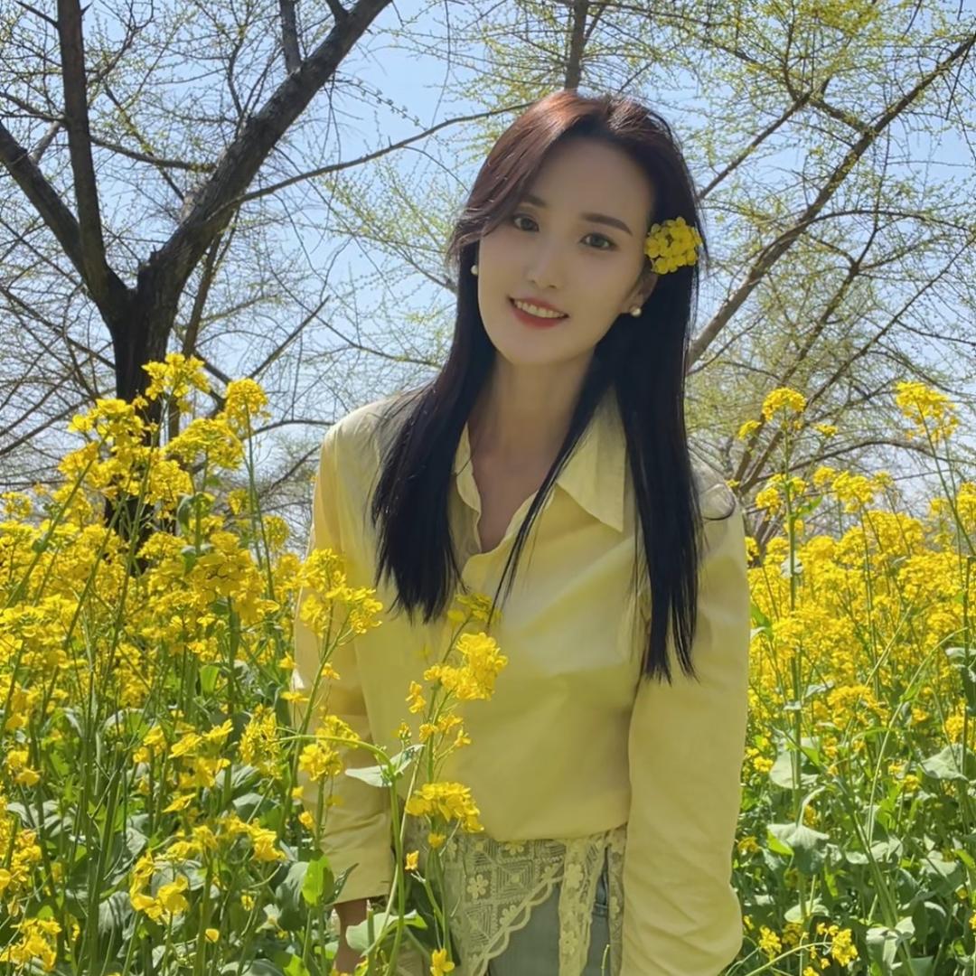 苹果🍎