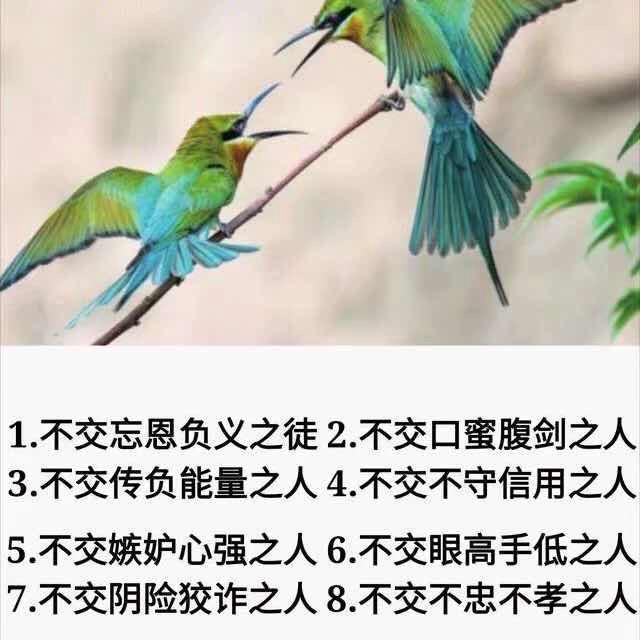 君行天下