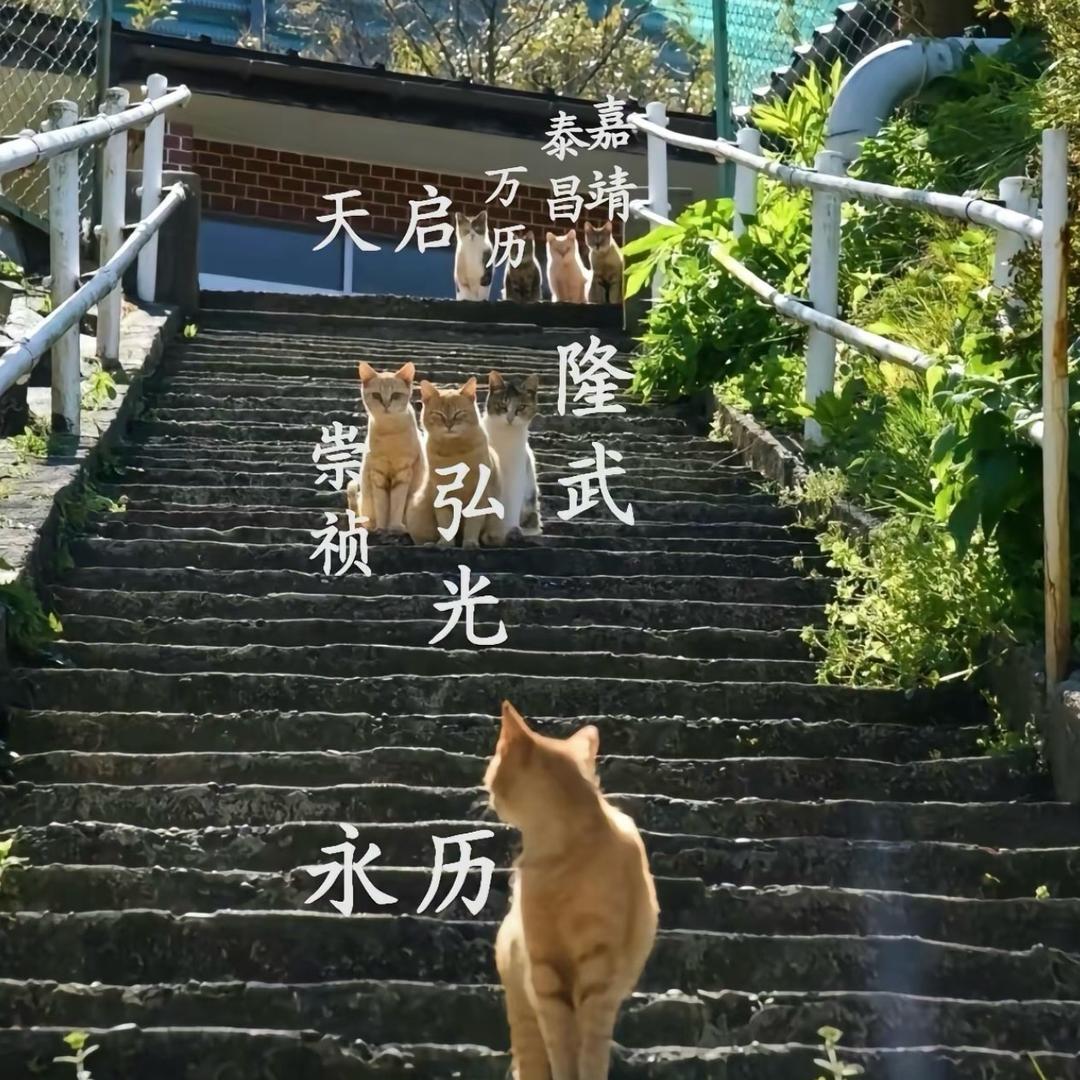 寻觅滴答
