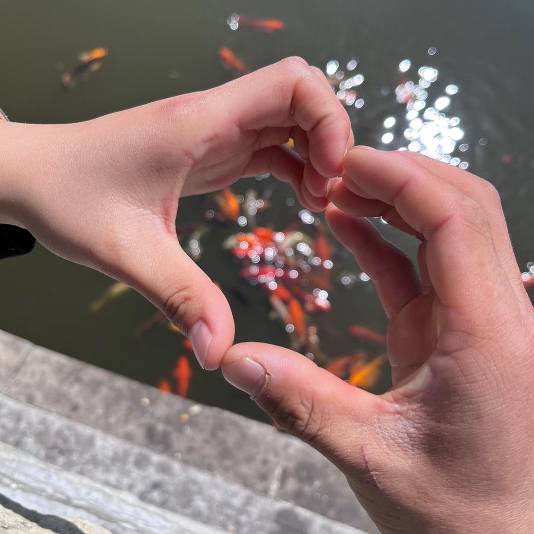 @  小Z. 🧚‍♀️