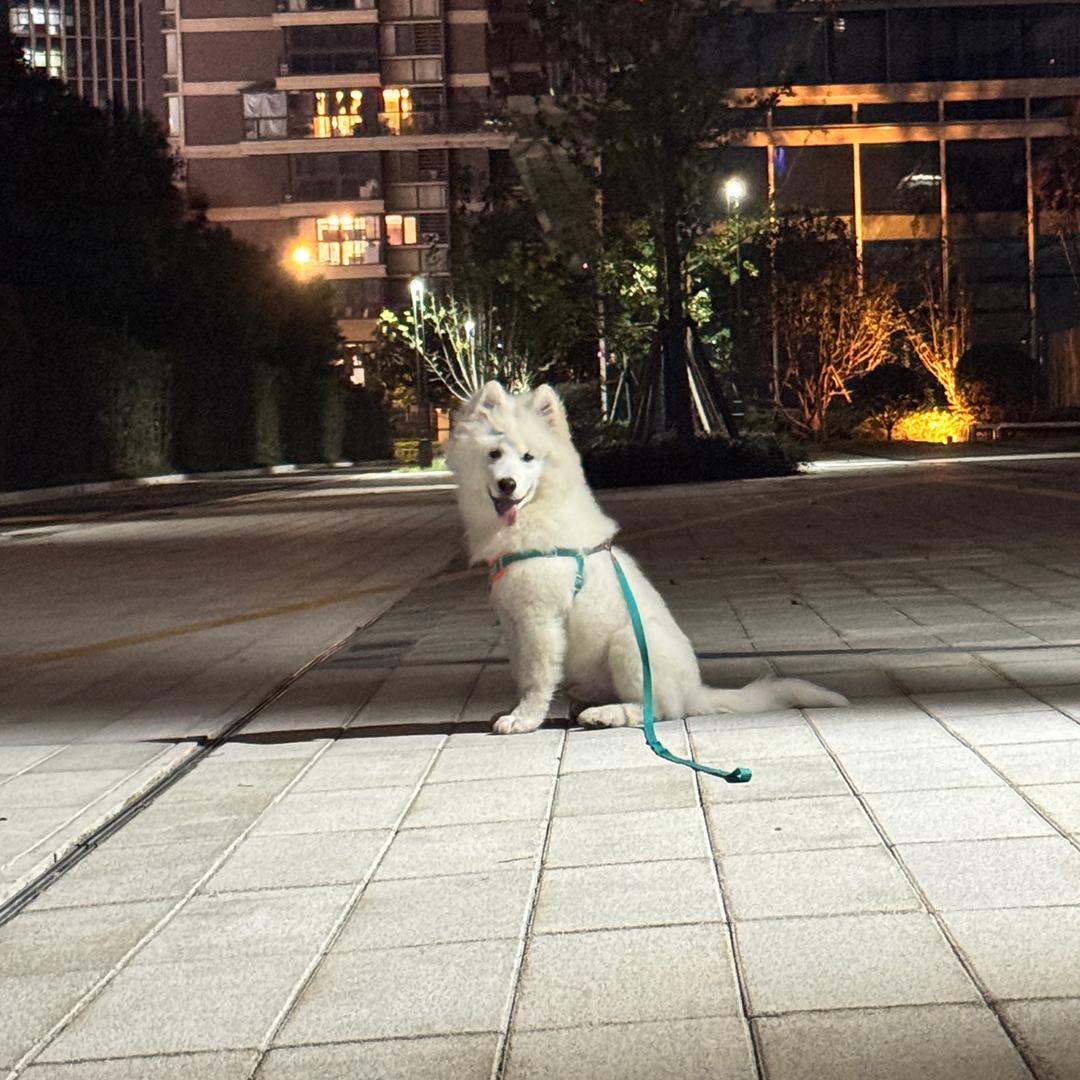 小十六