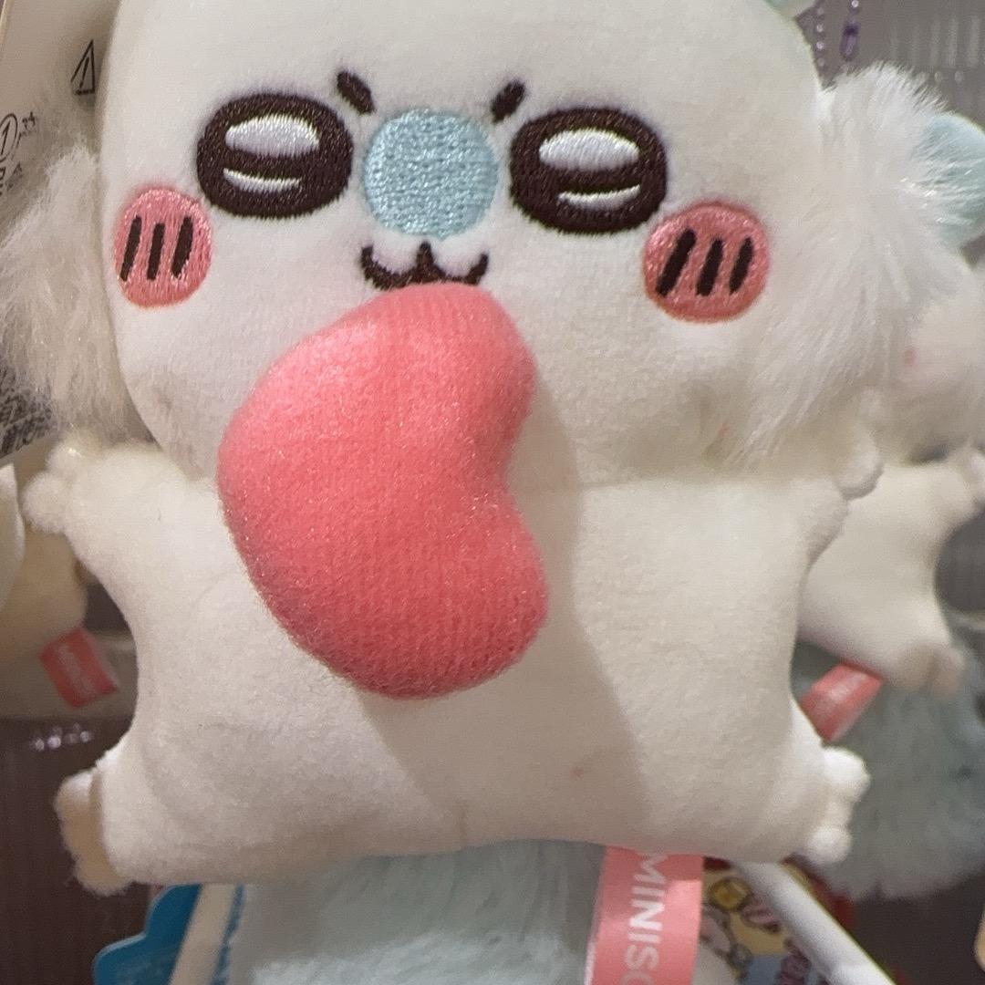 花开