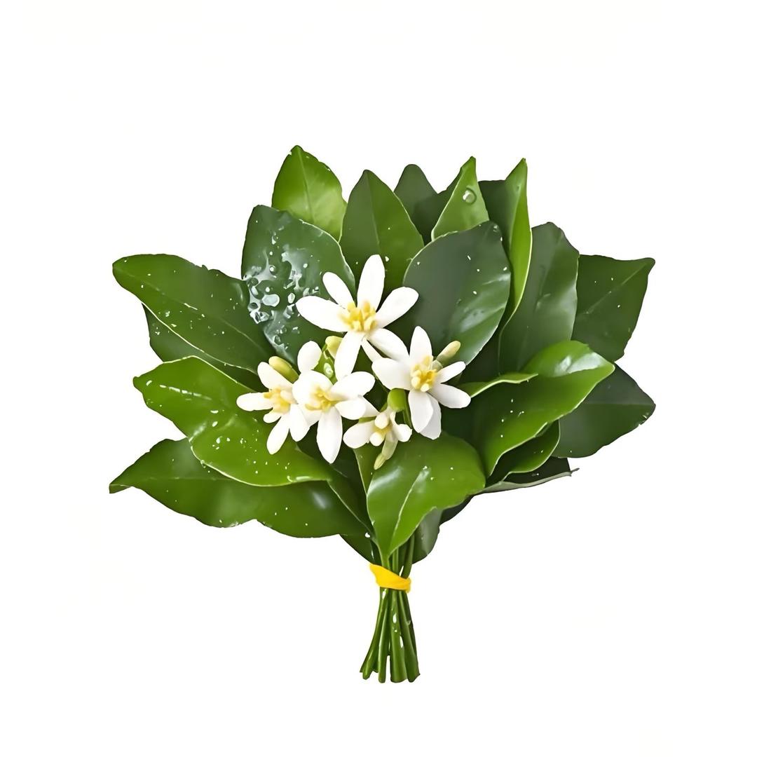 多喝水少生气·