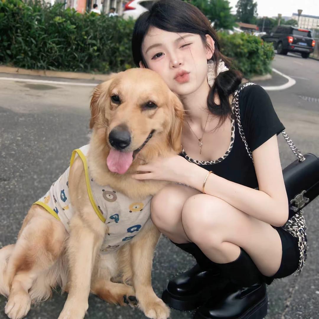 纯情刘小狗-