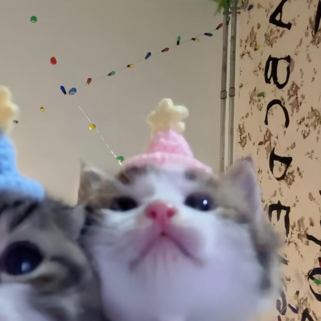 璐璐
