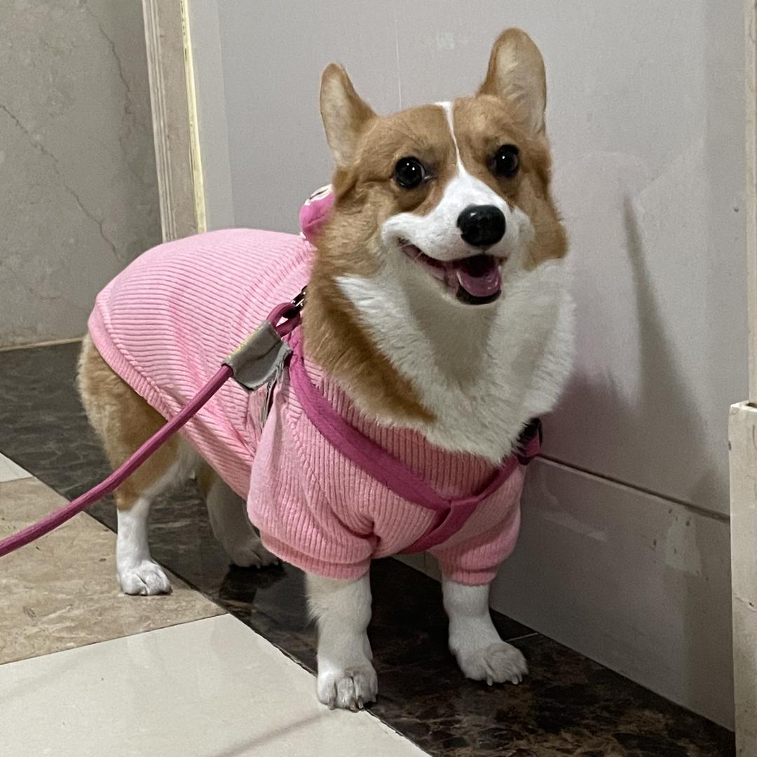 小苹果吃香蕉