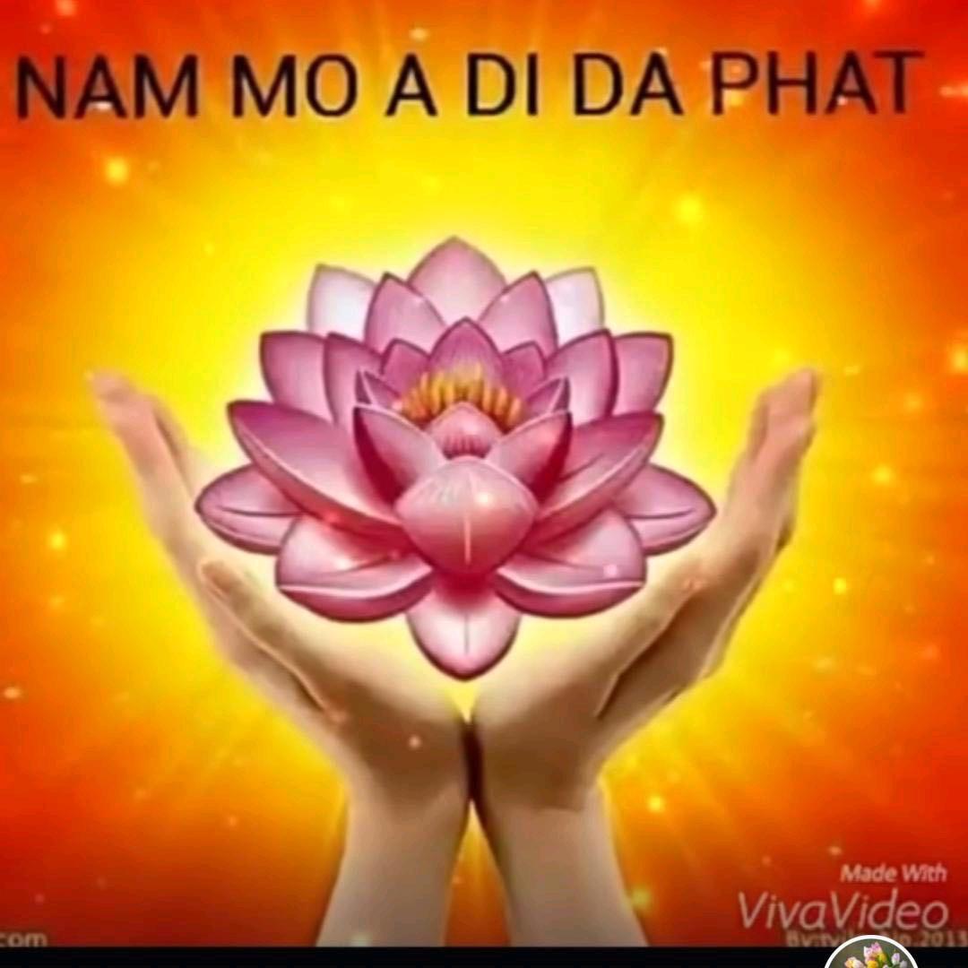 🌸随缘🌸玲姐💕3️⃣