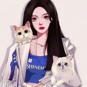 兔子🐾