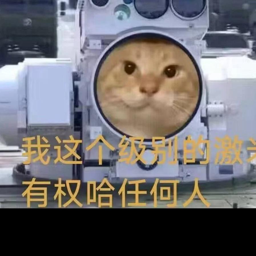 果敢决断的兰姐头像