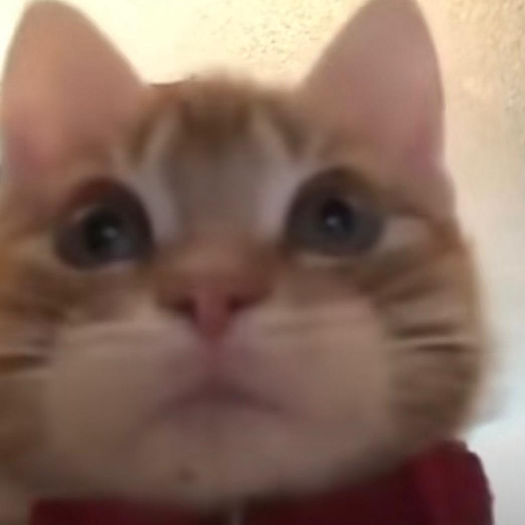zz喔