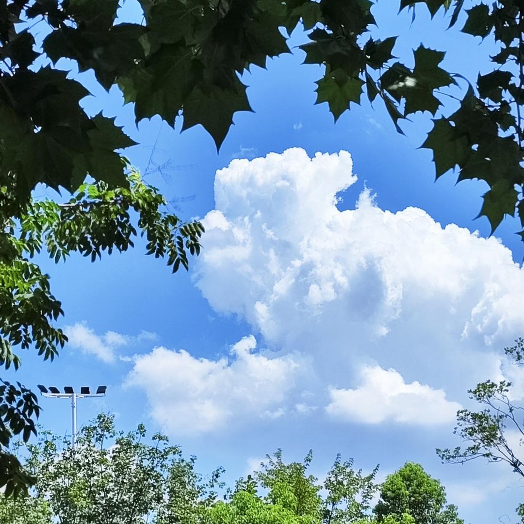 整日犯困爱睡觉