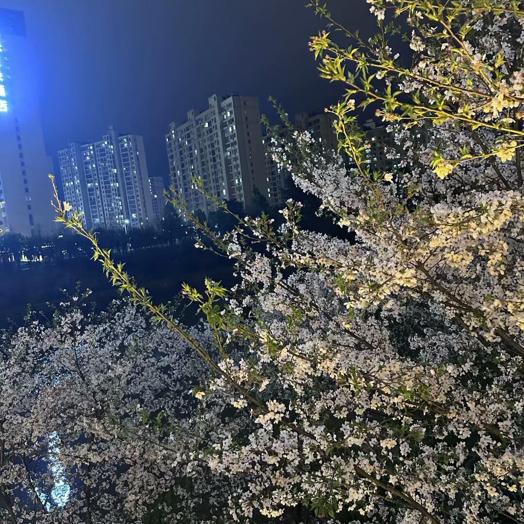 向晓