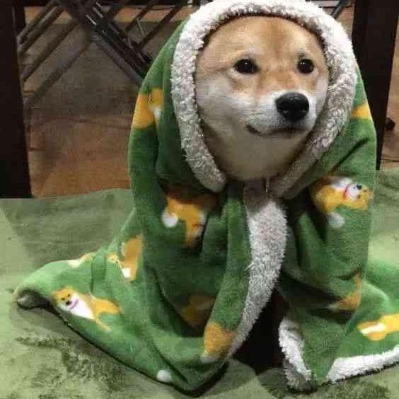 半晴📷