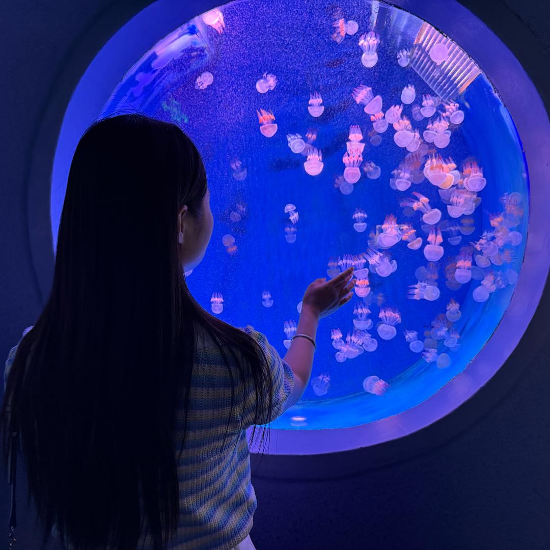糯蜜子
