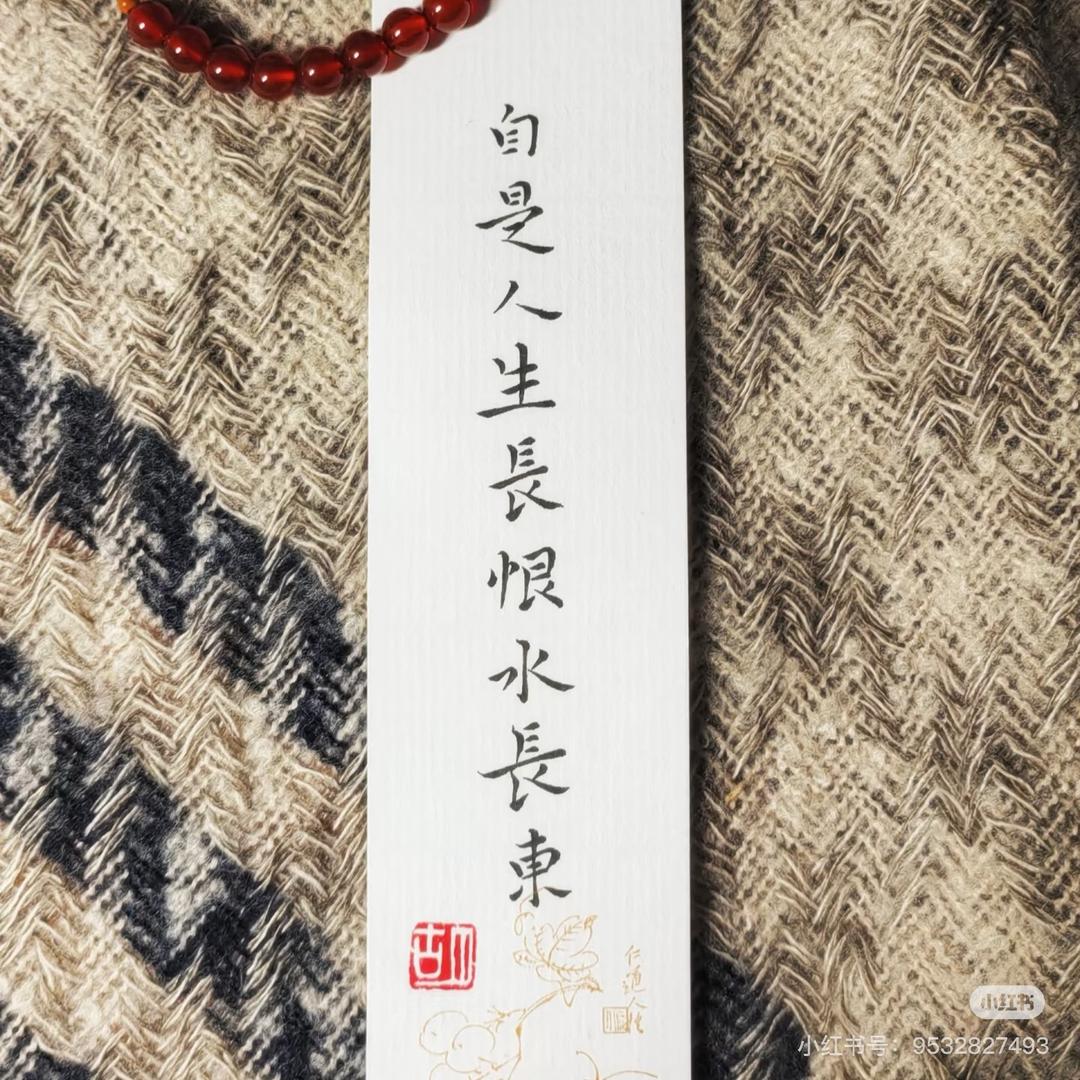 文文老师
