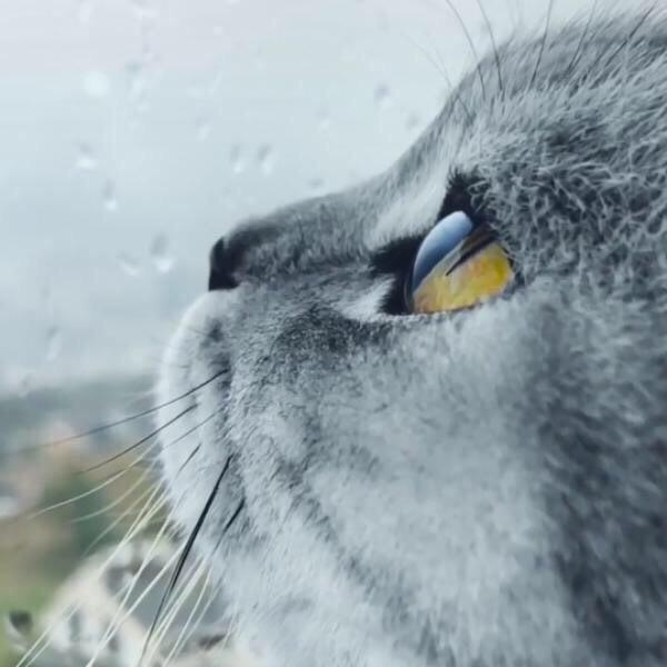 小翁ya