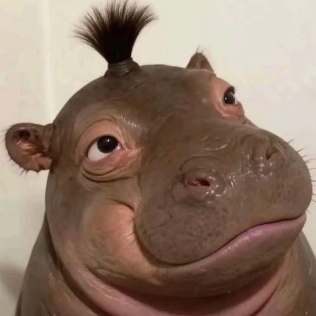 侬进