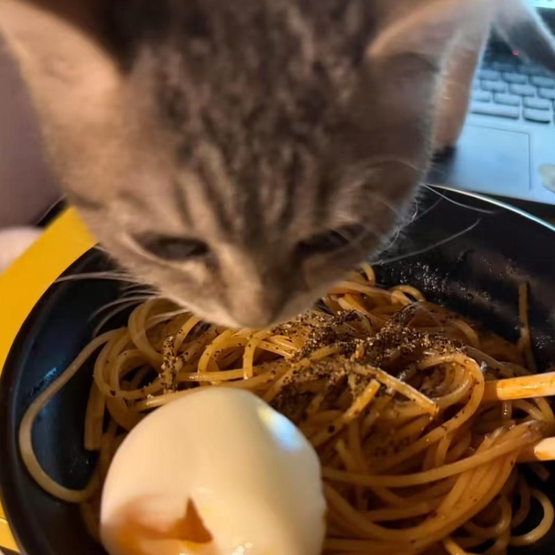 钝冰是个小崔花