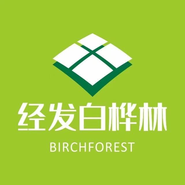 经发白桦林