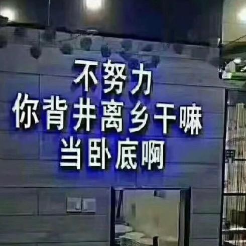 梦涵