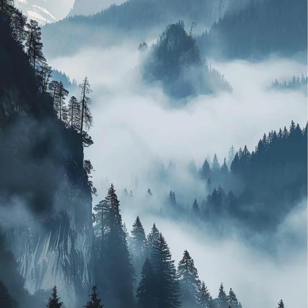 水墨單漬