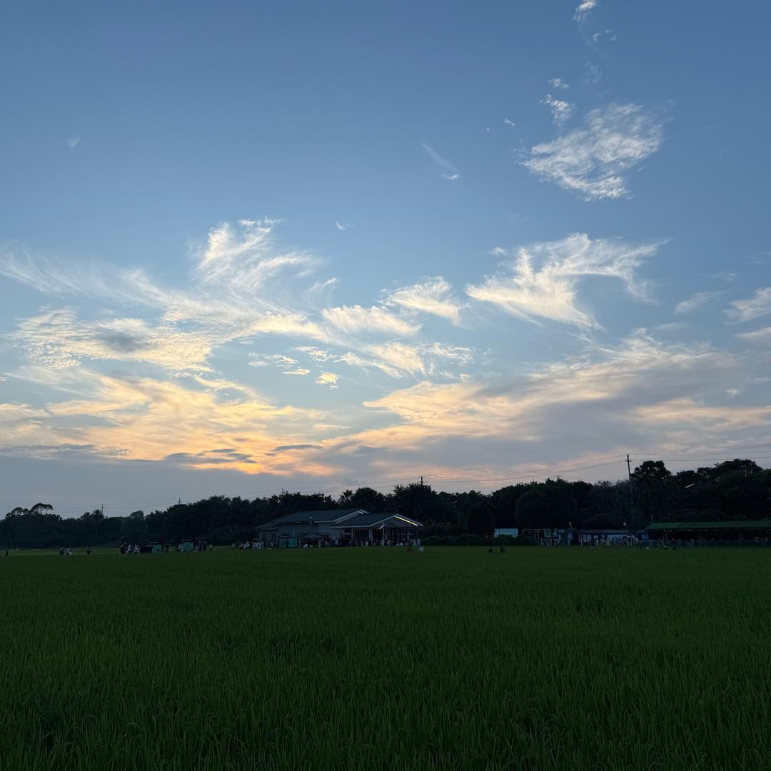 啶子