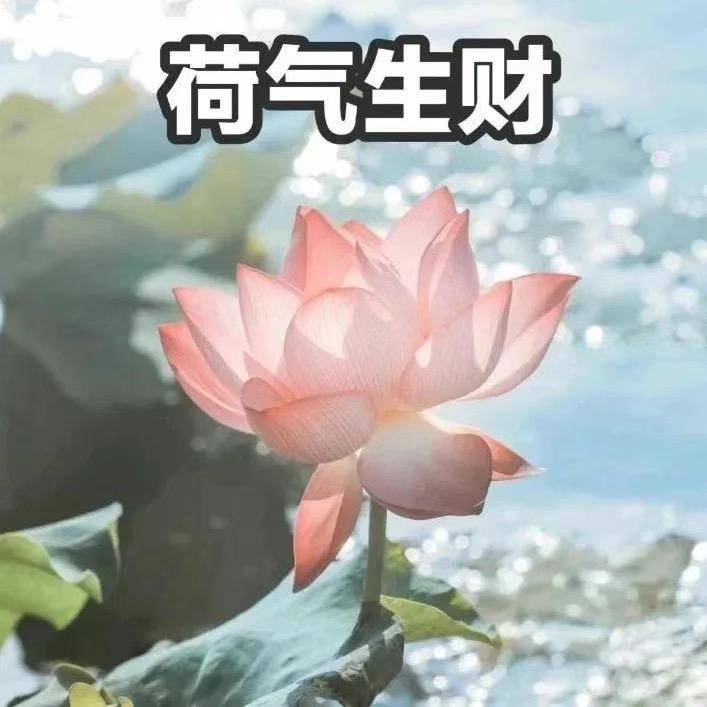 💐 花 开 富 贵 💐